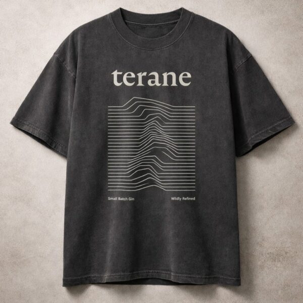 Terane oversized faded tee
