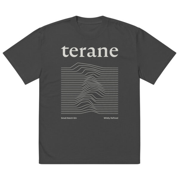 oversized-faded-t-shirt-faded-black-front-6800a739ed3a0.jpg Terane oversized faded tee in black