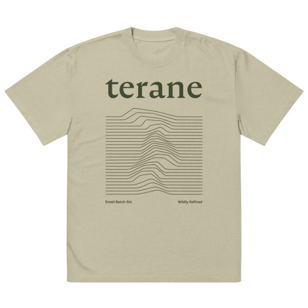 oversized-faded-t-shirt-faded-eucalyptus-front-6800d652aec7f.jpg Terane oversized faded tee in eucalyptus