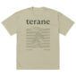 Terane oversized faded tee in eucalyptus