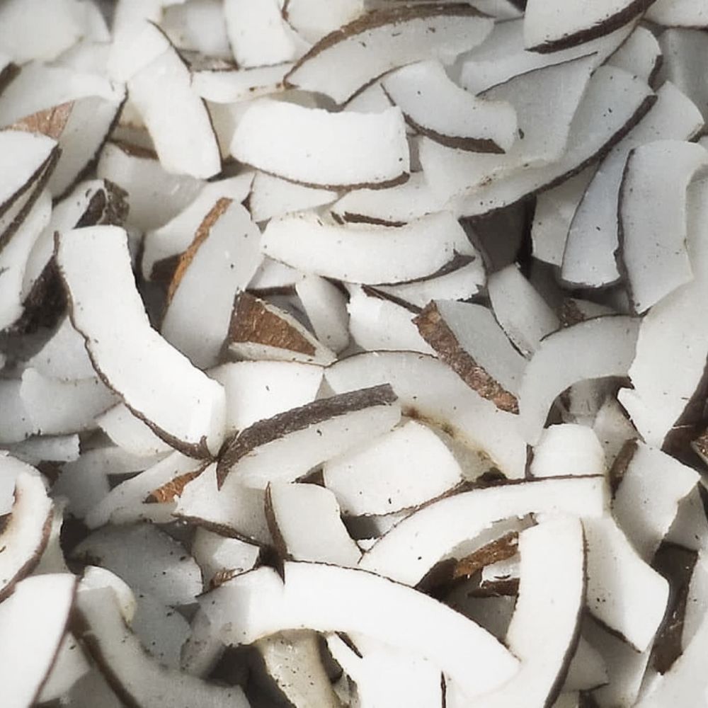 Coconut