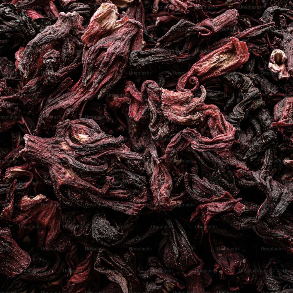 Hibiscus